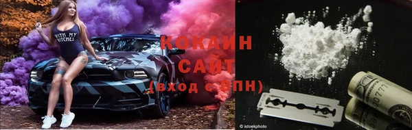 бошки Аркадак