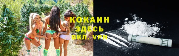 PSILOCYBIN Арсеньев
