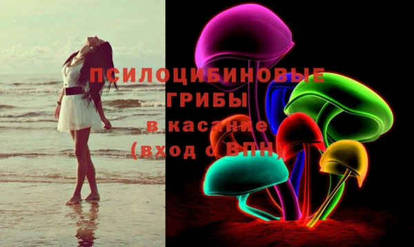 винт Армянск