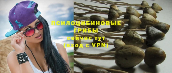 PSILOCYBIN Арсеньев