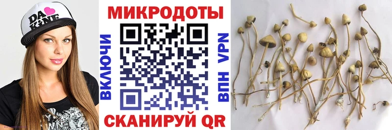 где купить   Армянск  Галлюциногенные грибы мицелий 